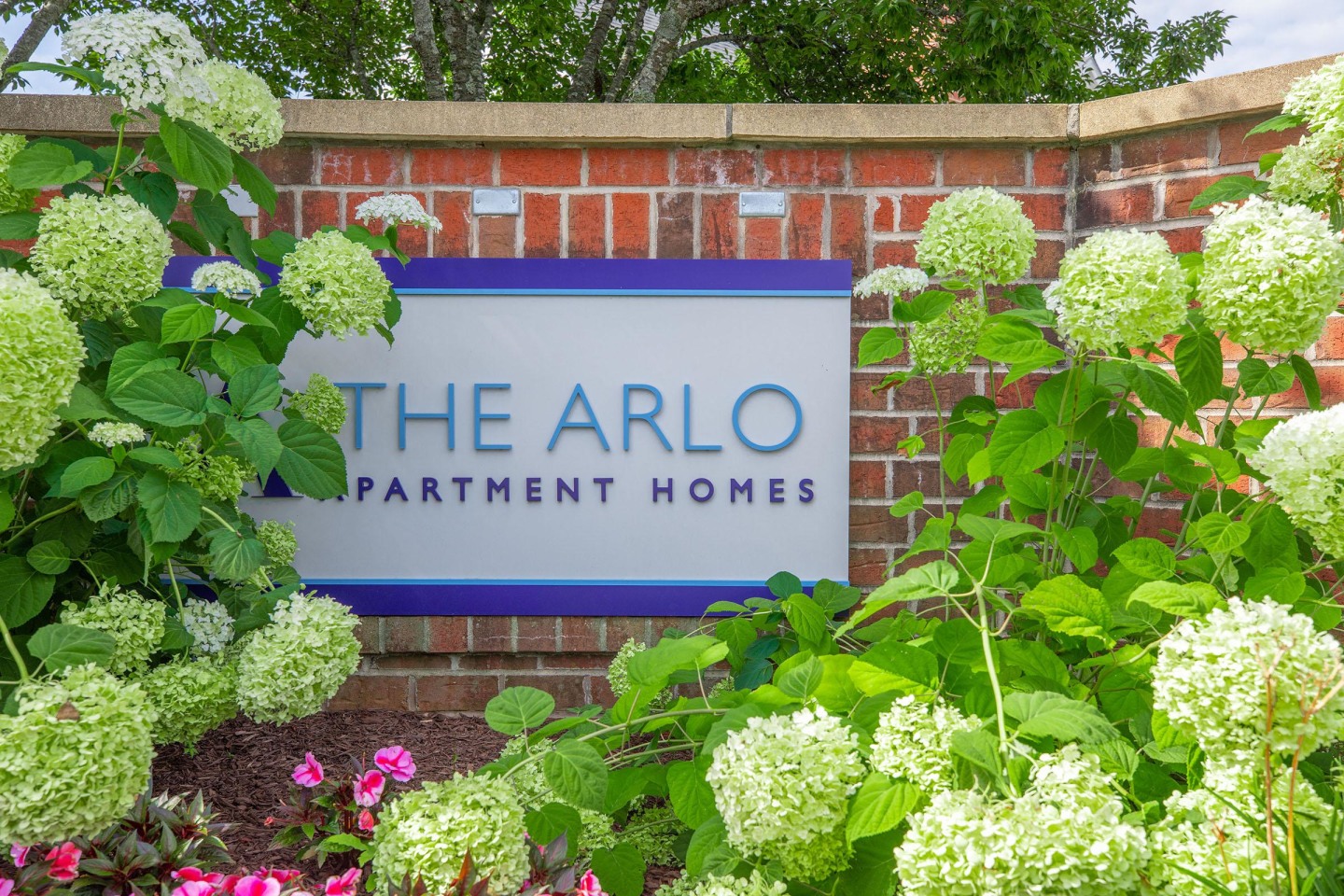 The Arlo Apartment Homes Image 8
