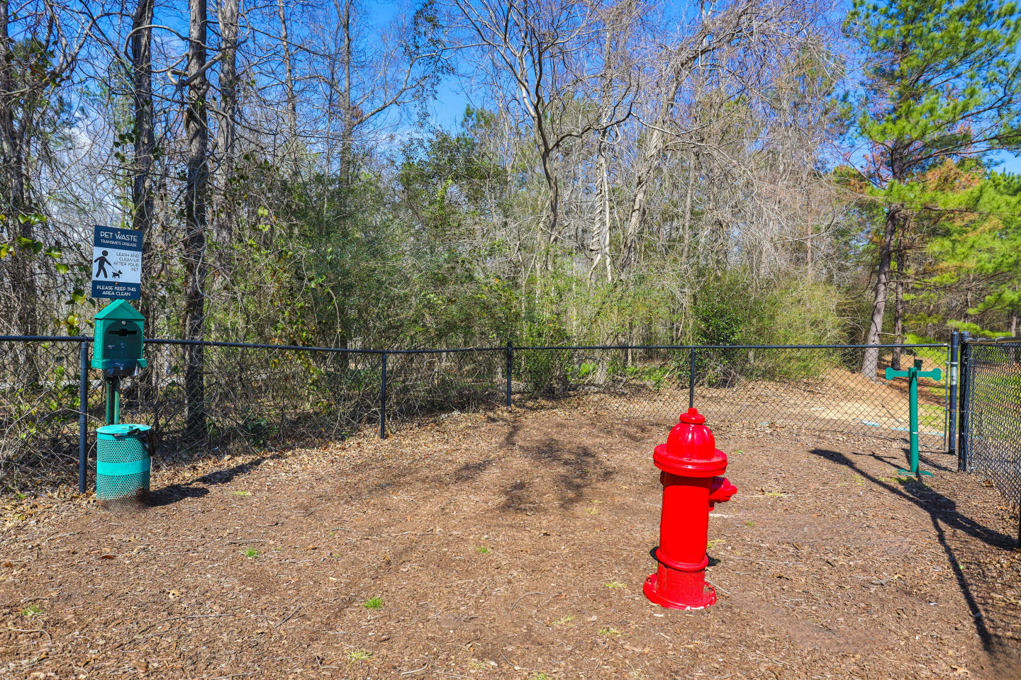 The Ansley Image 22