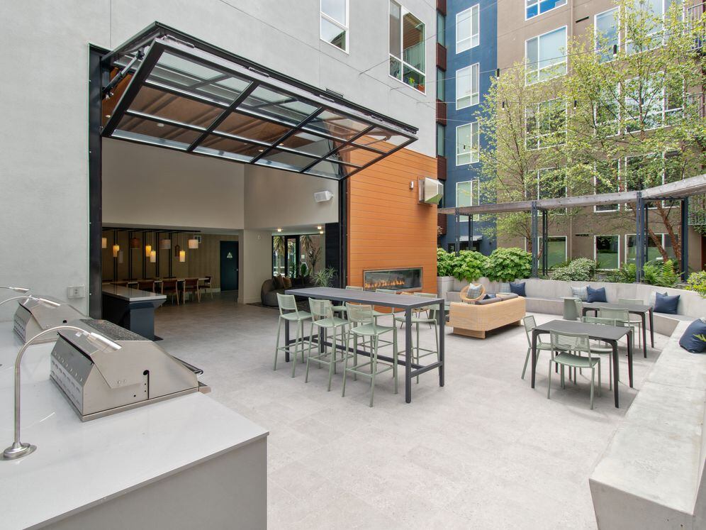 Avalon Dogpatch Image 23