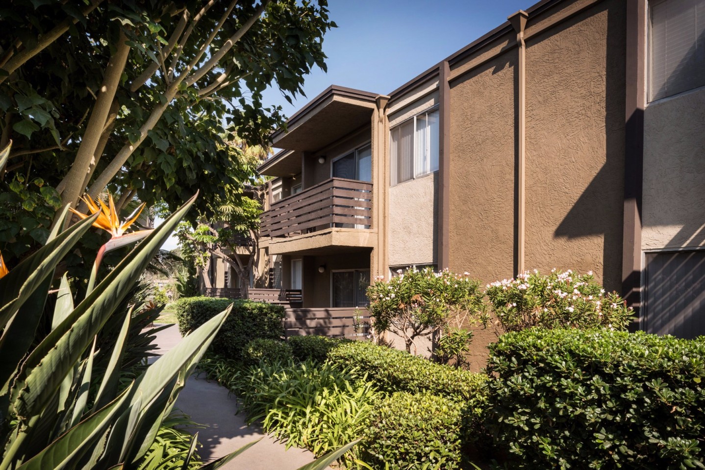 Elán Avante Apartment Homes Image 30