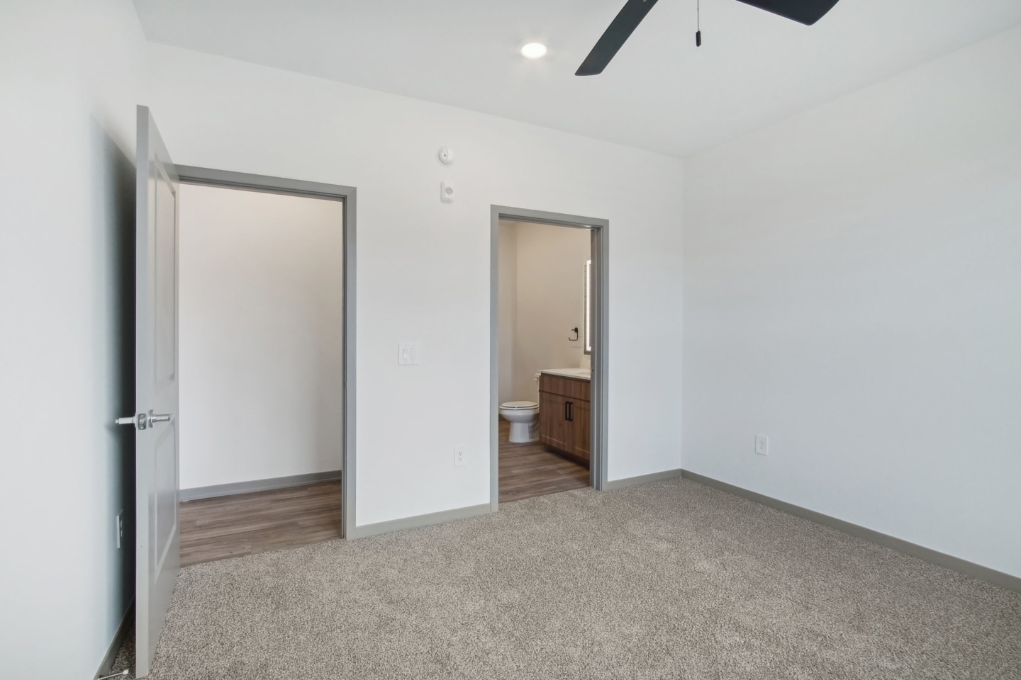 The Maddox Image 82