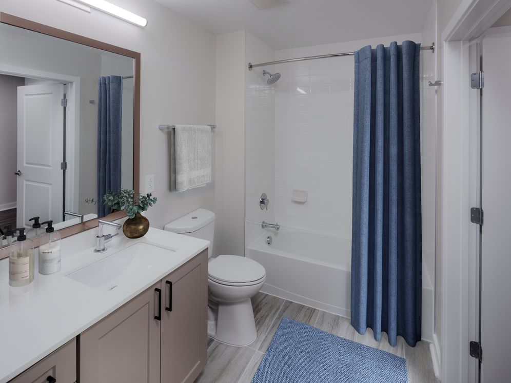 Avalon 555 President Image 13