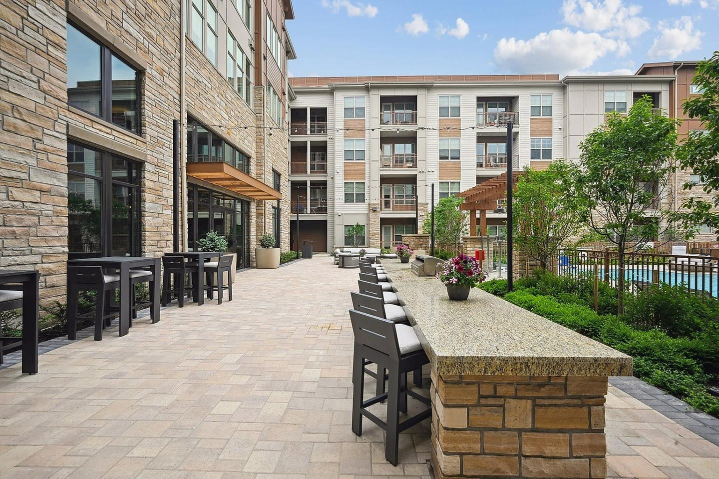 The Elmwood Image 19