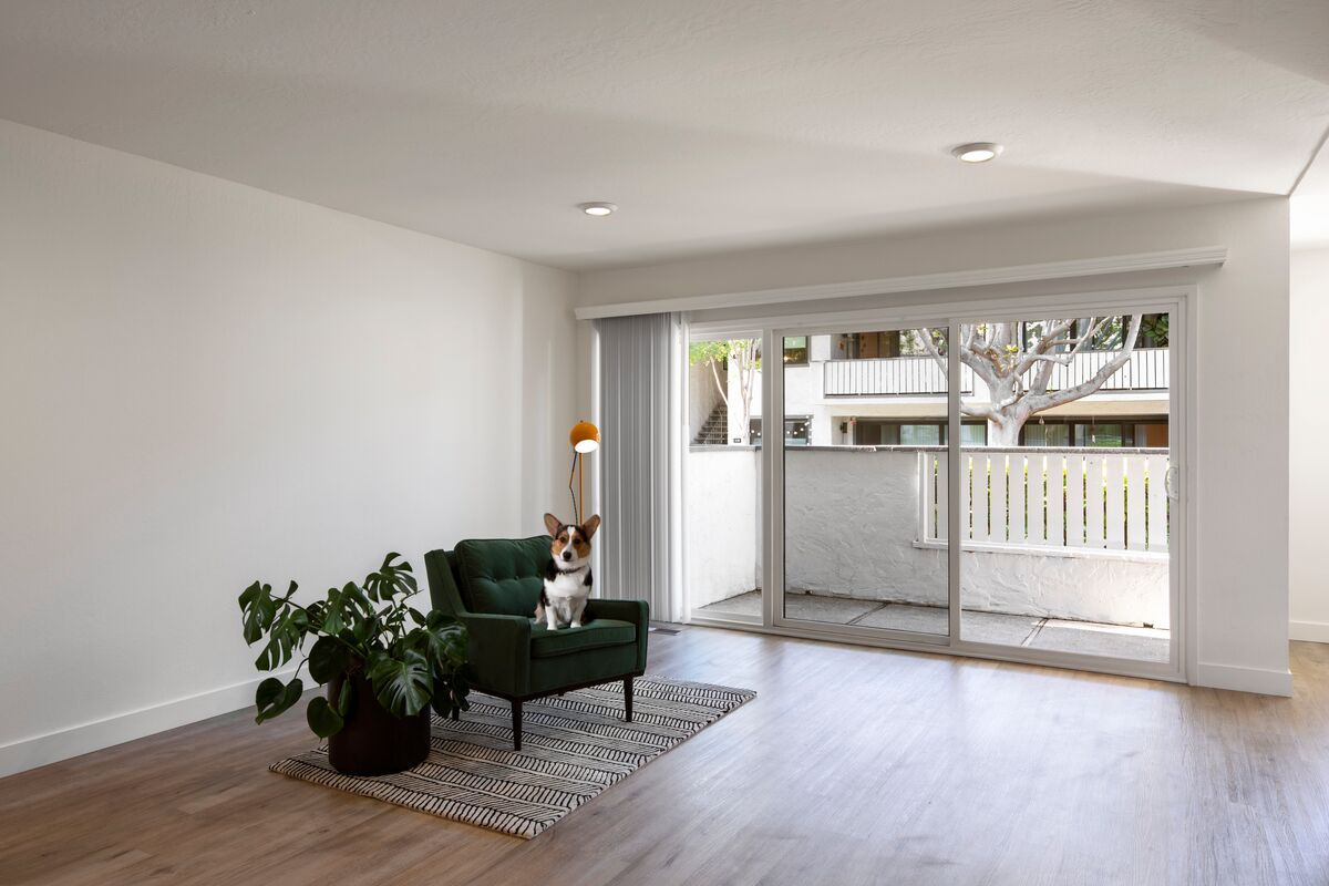 Holloway Apartments Image 6