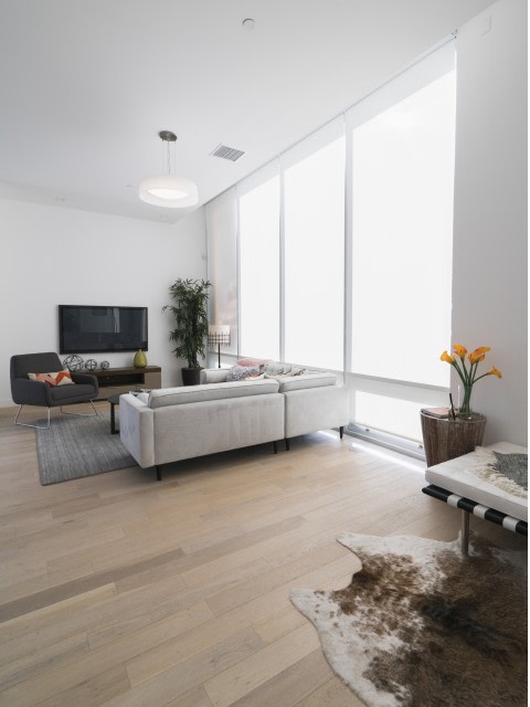 The Geffen Image 12