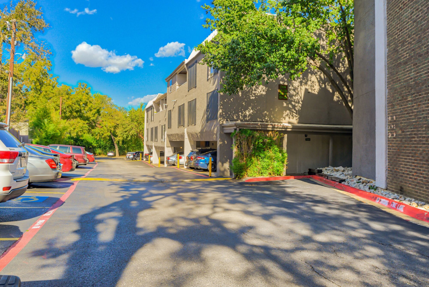 San Mateo Forest Apartments Image 36
