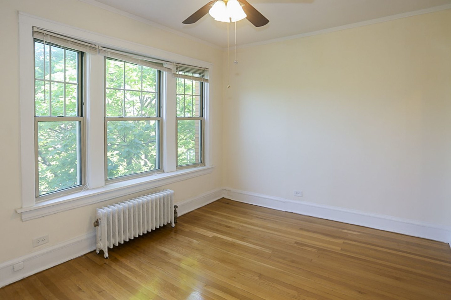 1601-15 W Berteau Image 5