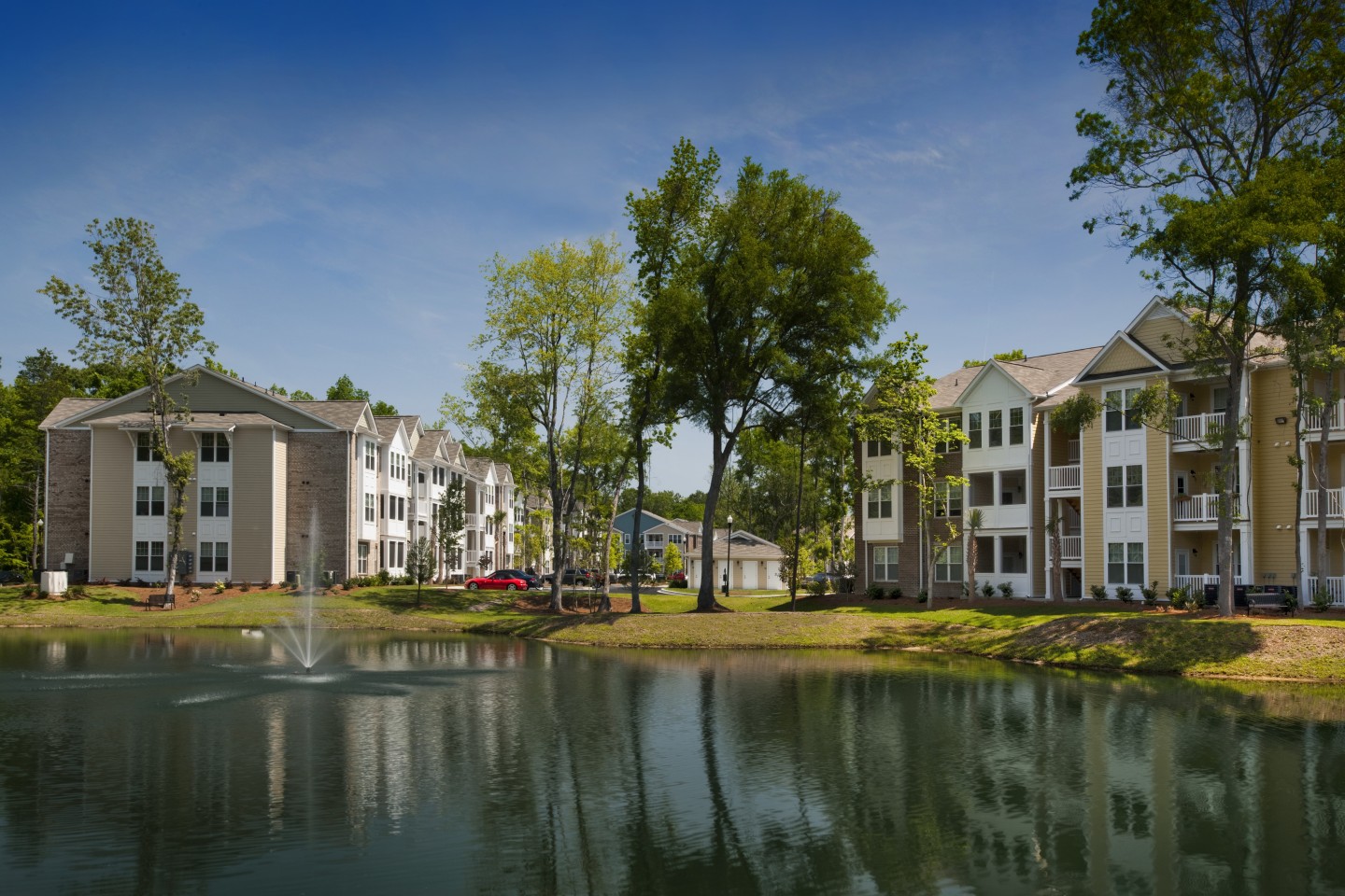 Element Carolina Bay Image 38