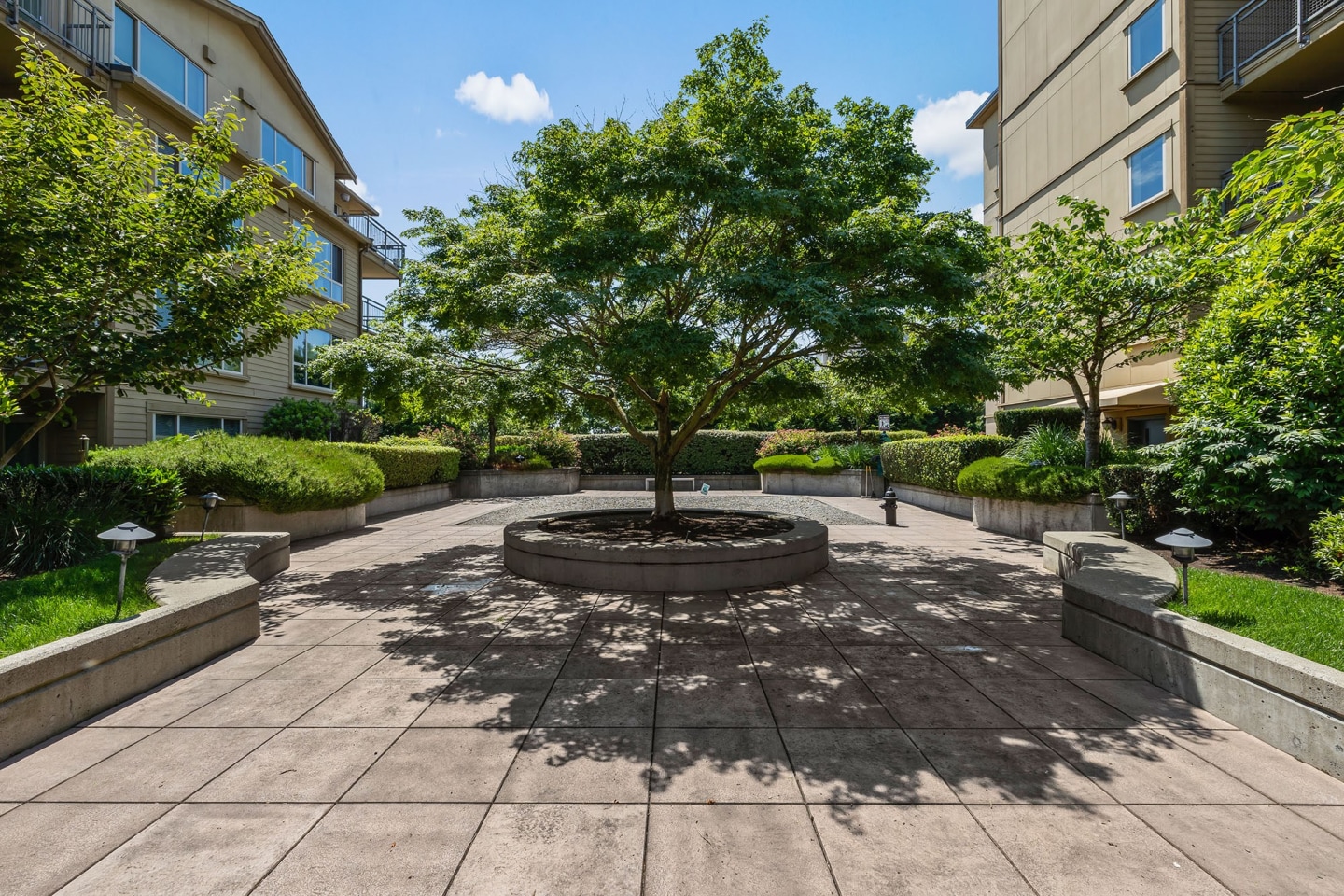 Summit at Madison Park Image 12