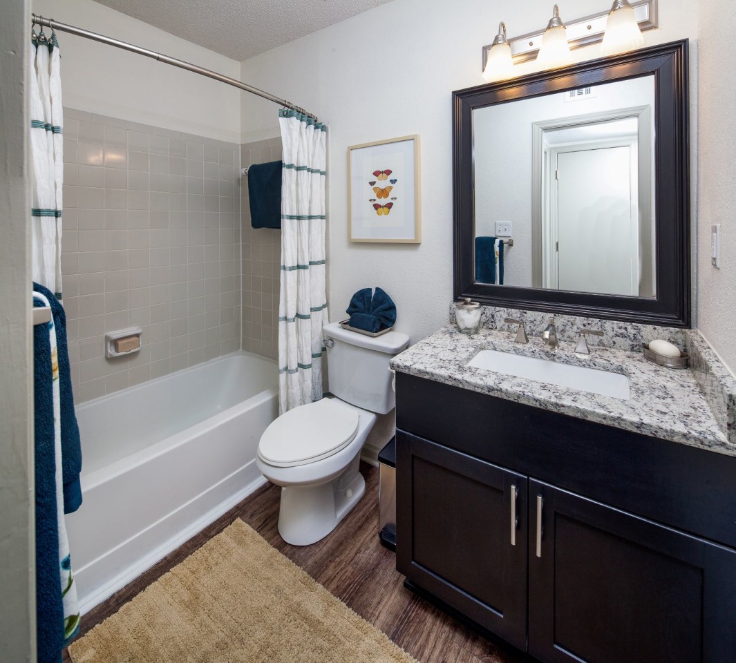 The Pointe at Lenox Park Image 3