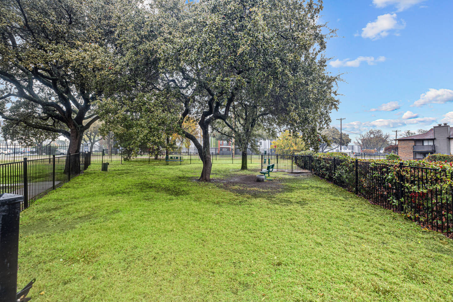 Pine Oaks Image 33