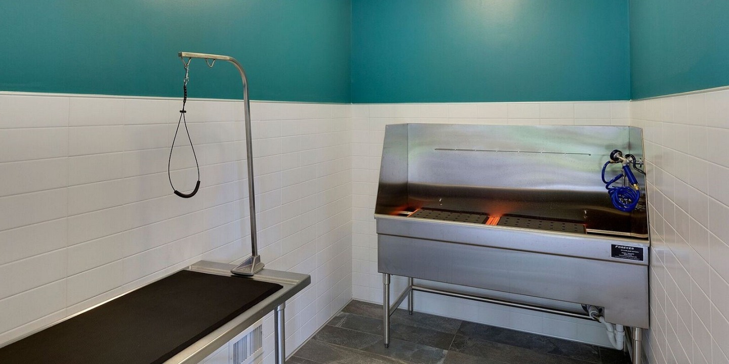 Eden Commons Image 19