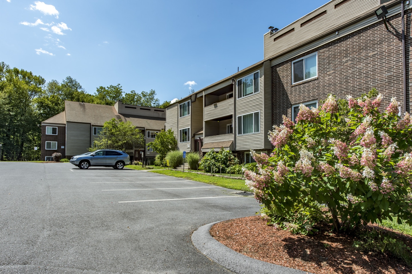 Redwood Hills Image 15