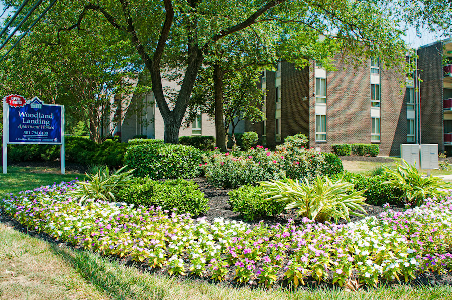 Woodland Landing Image 9