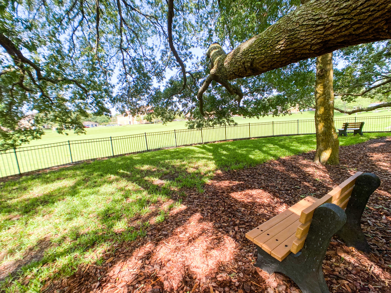 Oakleaf Village Image 30