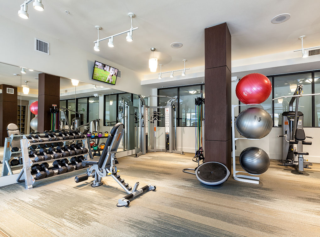 AMLI West Plano Image 15