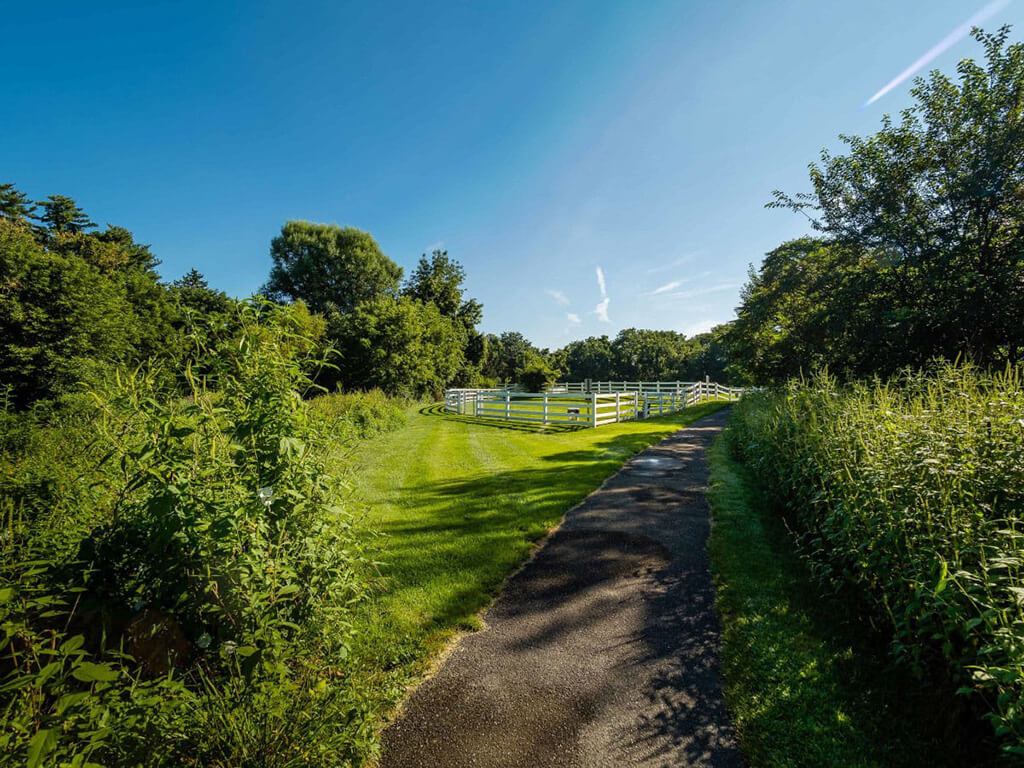 The Meadows Image 19