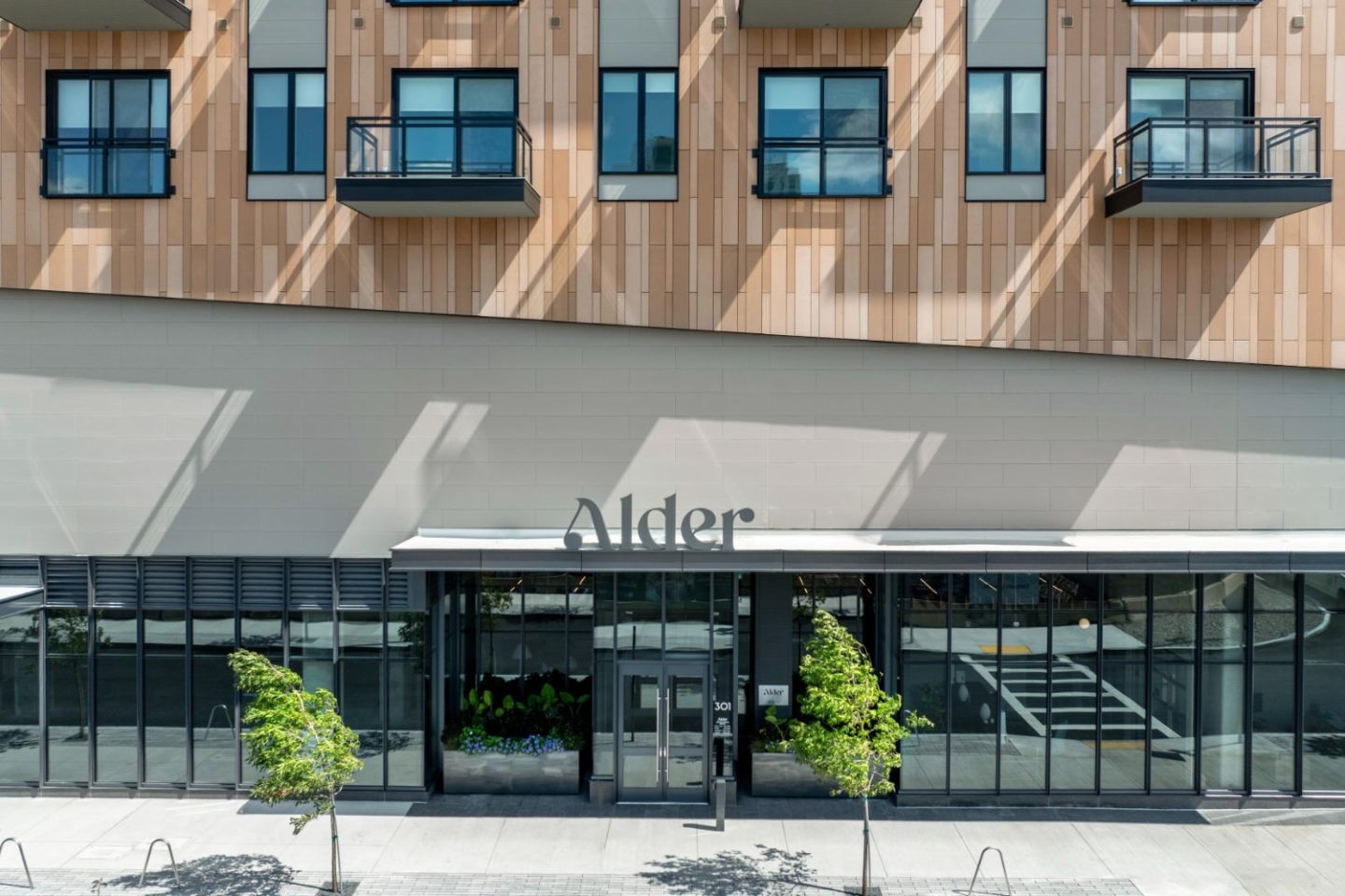 Alder at Allston Yards Image 5
