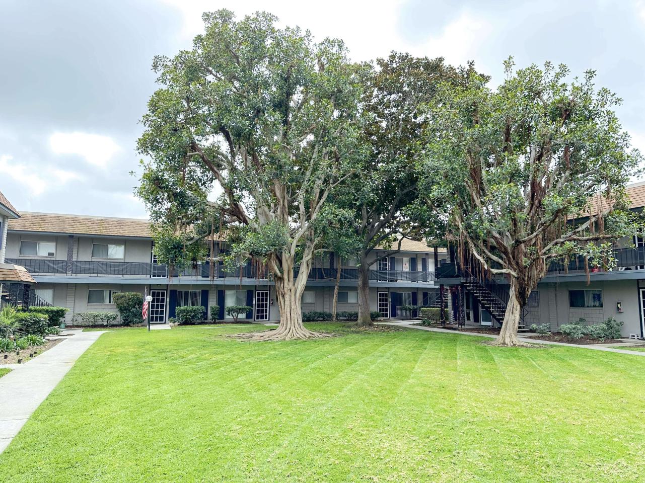 Regency Palms Image 4