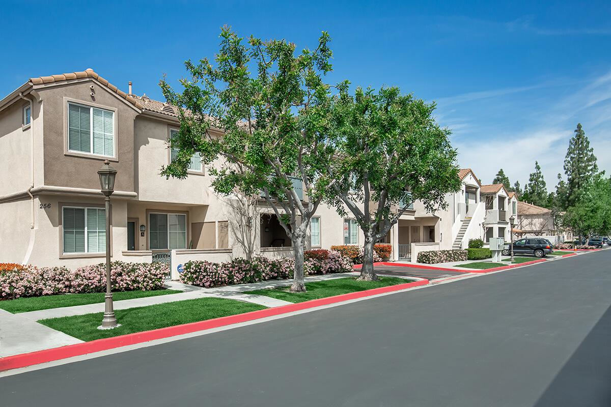 Arbor Lane Apartment Homes Image 7