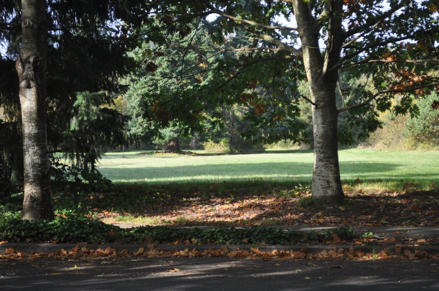 Corporate Woods Image 8