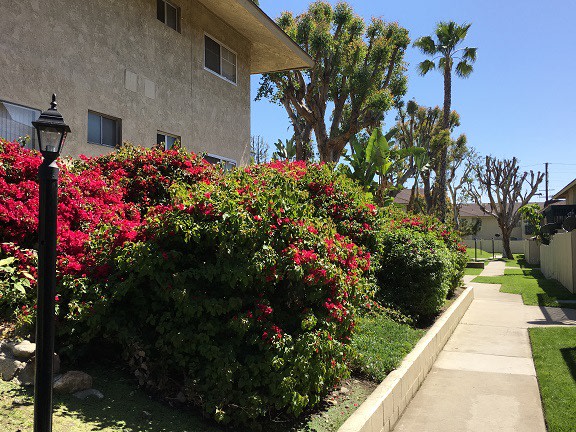 Mountain Crest Apartments Image 14