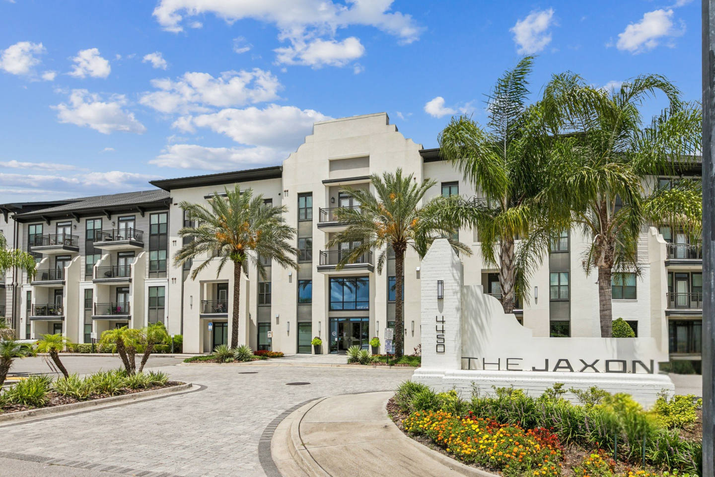 The Jaxon Image 24