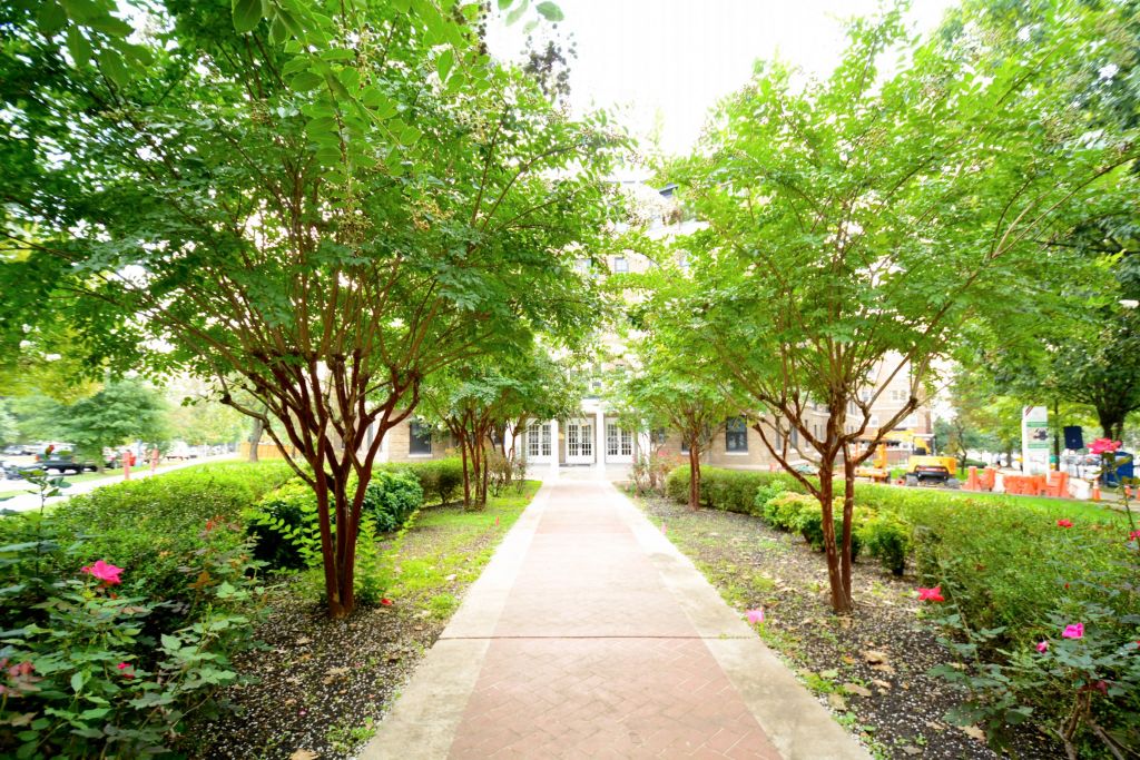 Tilden Hall Image 14