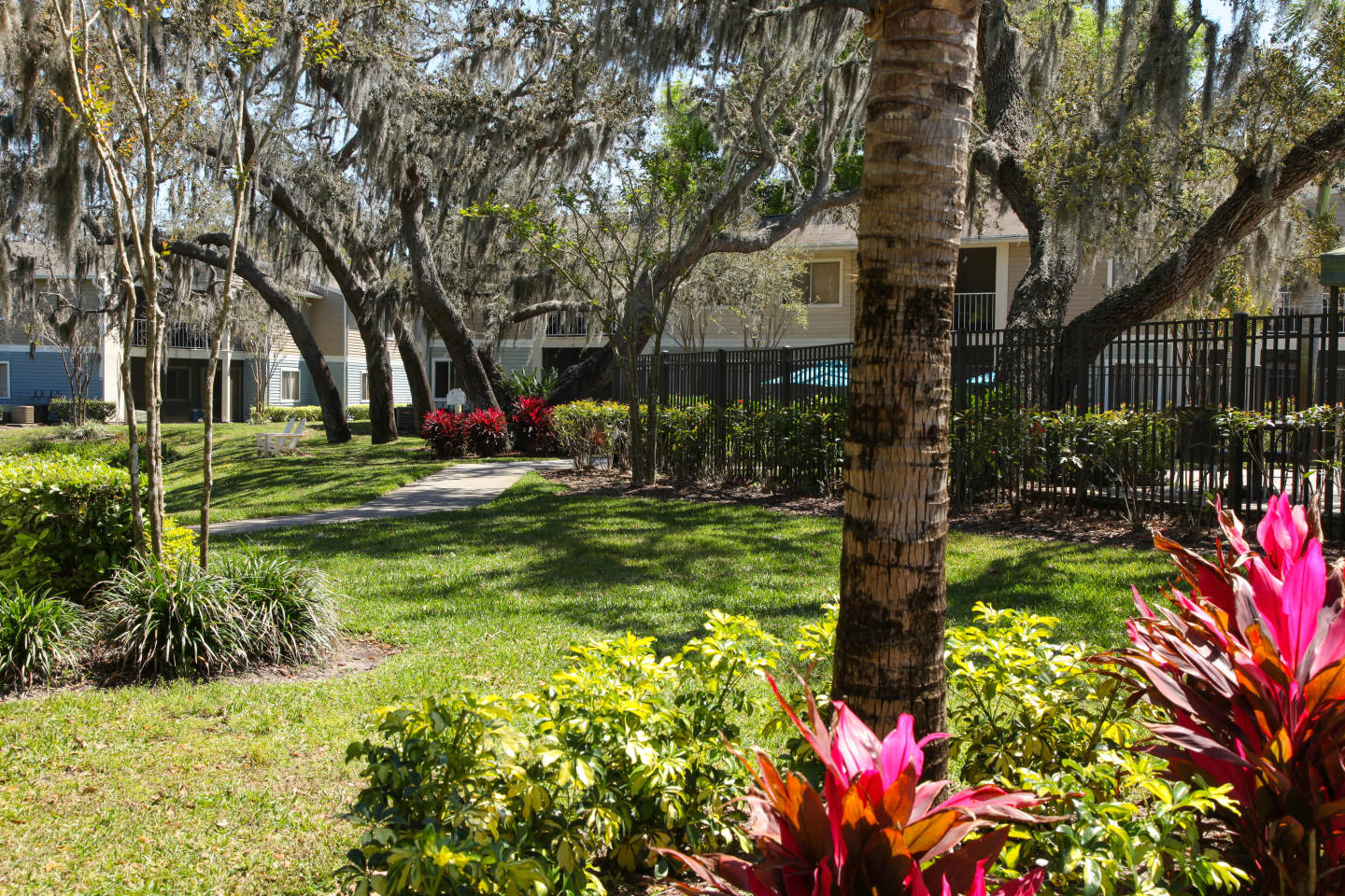 Agora at Port Richey Image 26