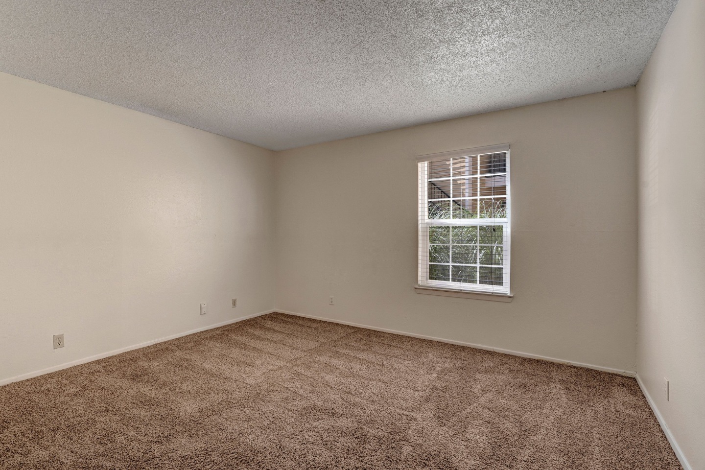 The Bradford Apartment Homes Image 5
