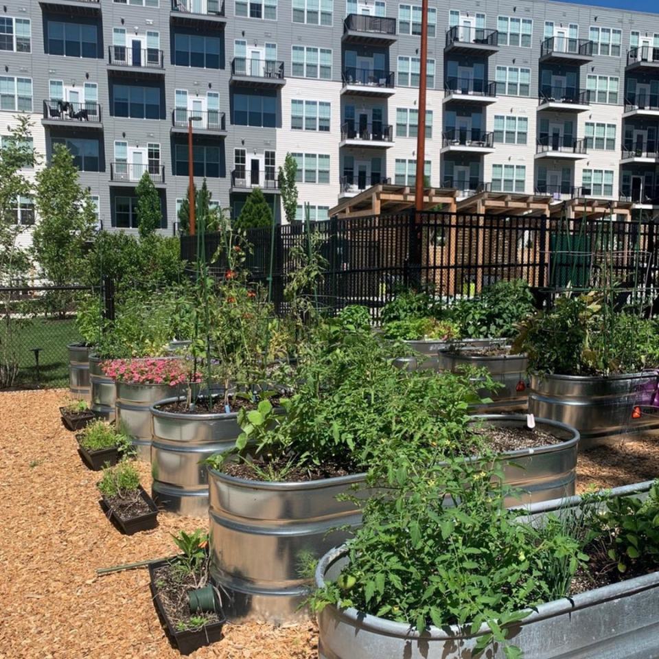 The Point at Green District Image 13