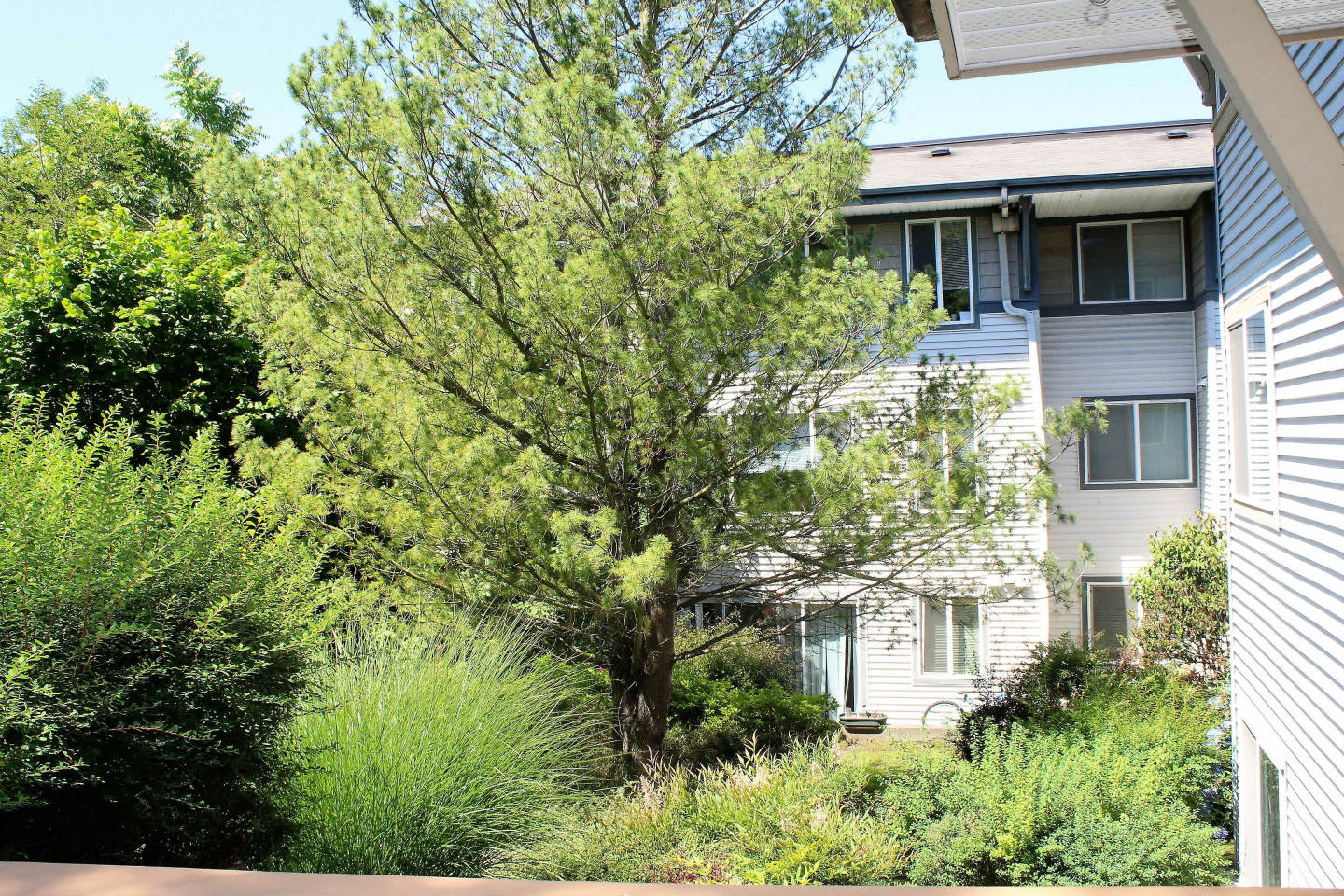 Ivy Ridge Image 16