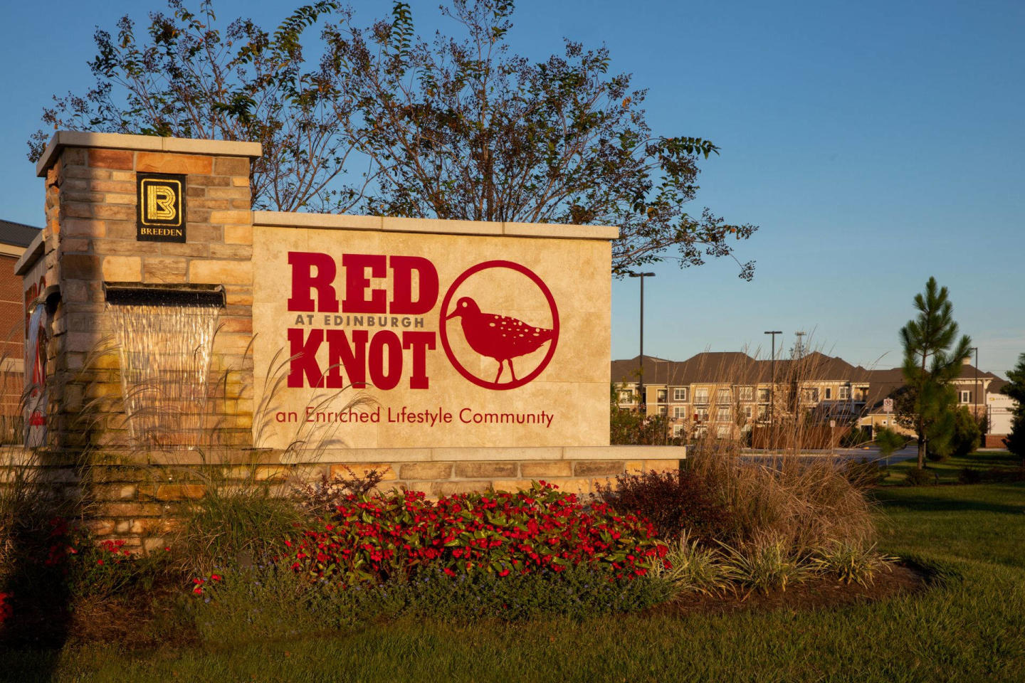 Red Knot at Edinburgh Image 43