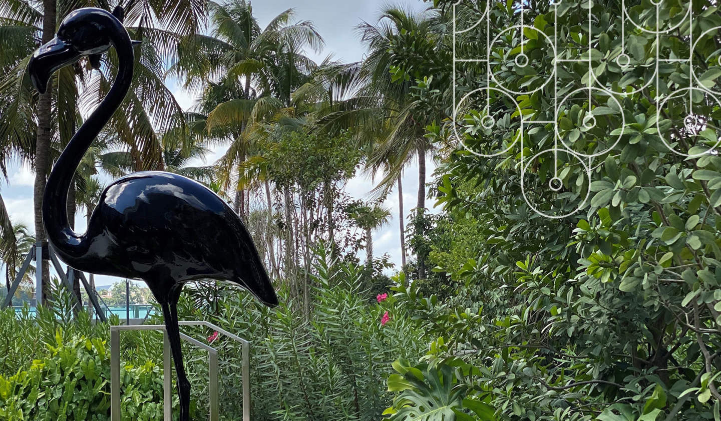 Flamingo Point Image 44