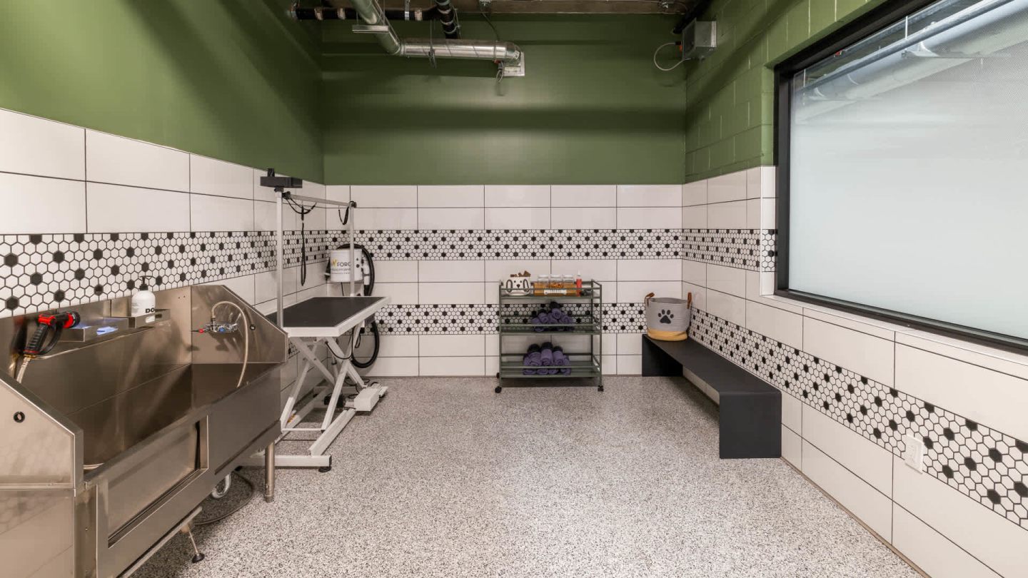 Lorien Ivy Apartments Image 28