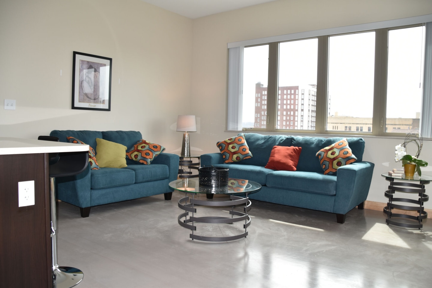 501 Brady Image 6