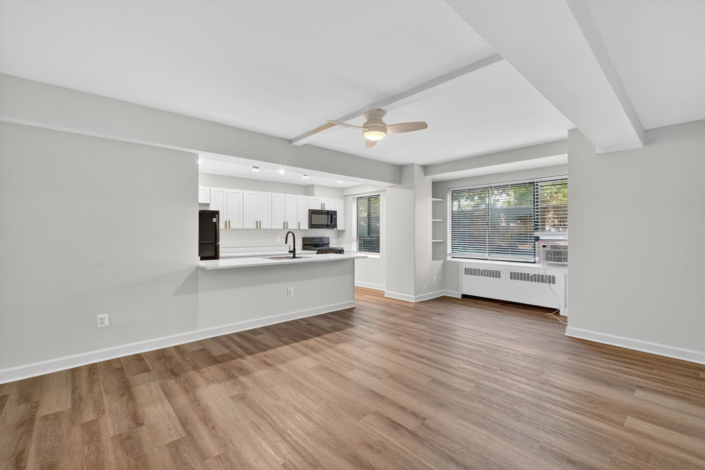 The Chesapeake Image 3