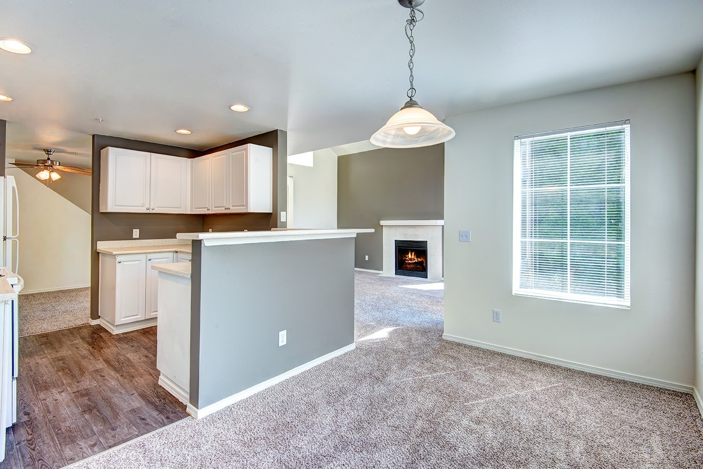 Langara Image 15