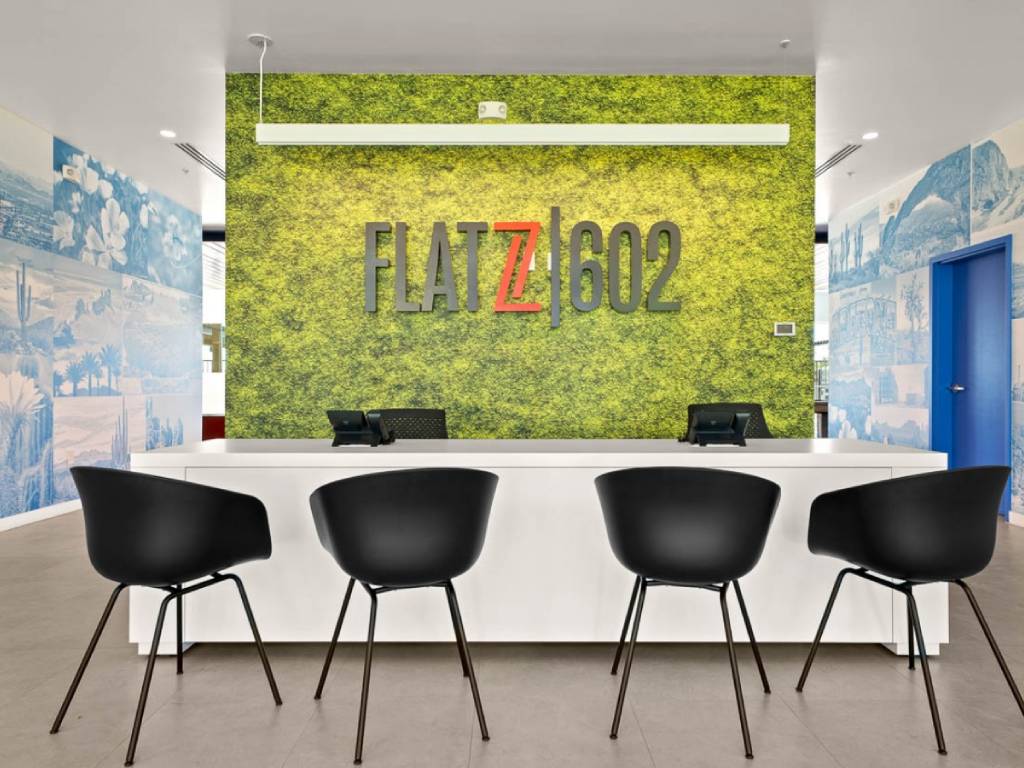 FLATZ 602 Image 50