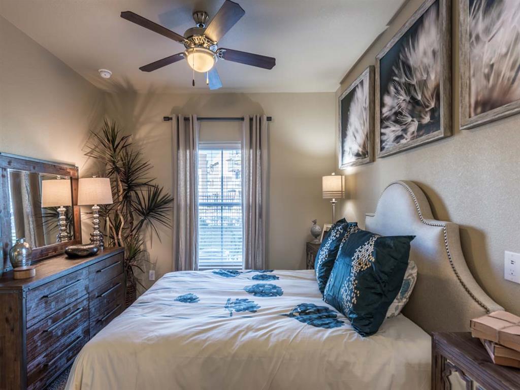 Century Palm Bluff Image 40