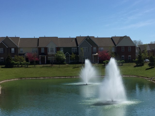 Spring Haven Image 5