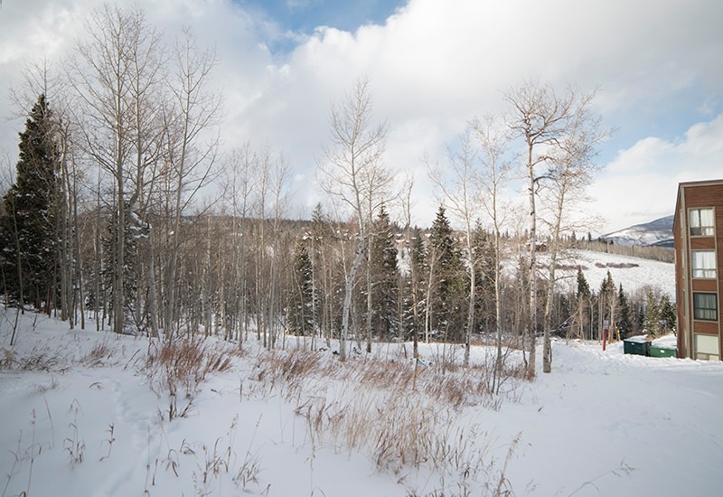 Ryan Gulch Image 14