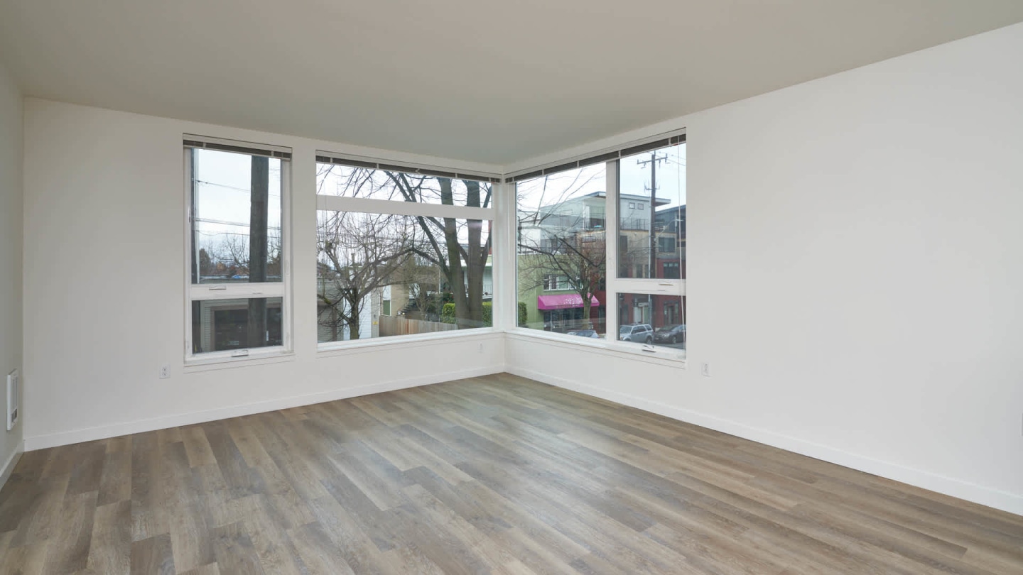Springline Image 36
