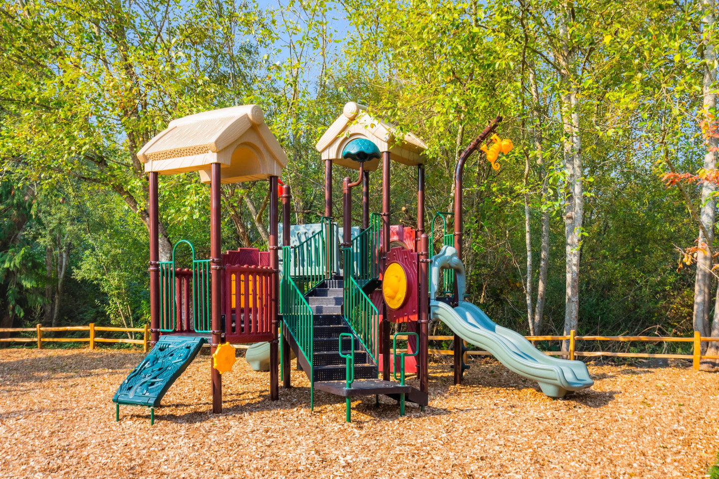 Canopy Image 41