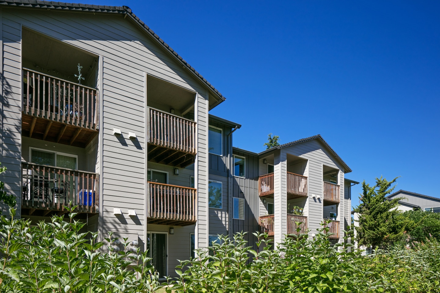 River Terrace Apartments Image 4
