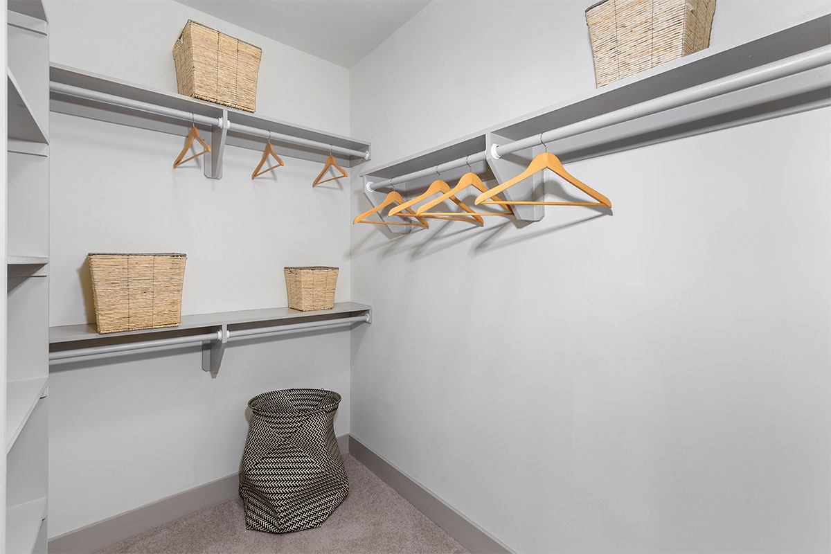 Escher Image 12