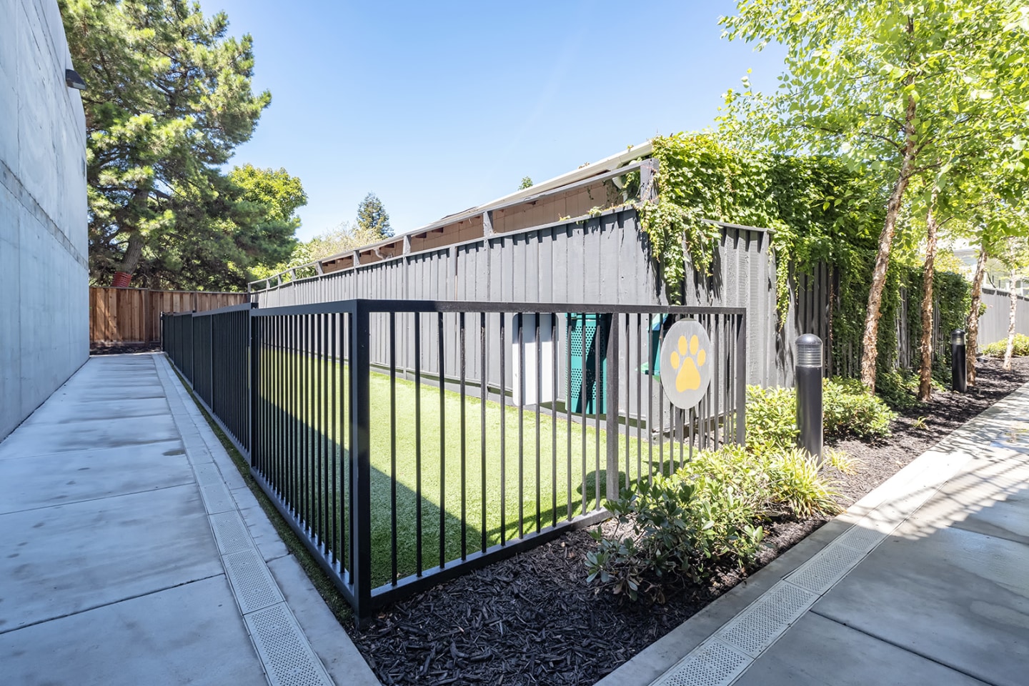 The Pierce Image 87