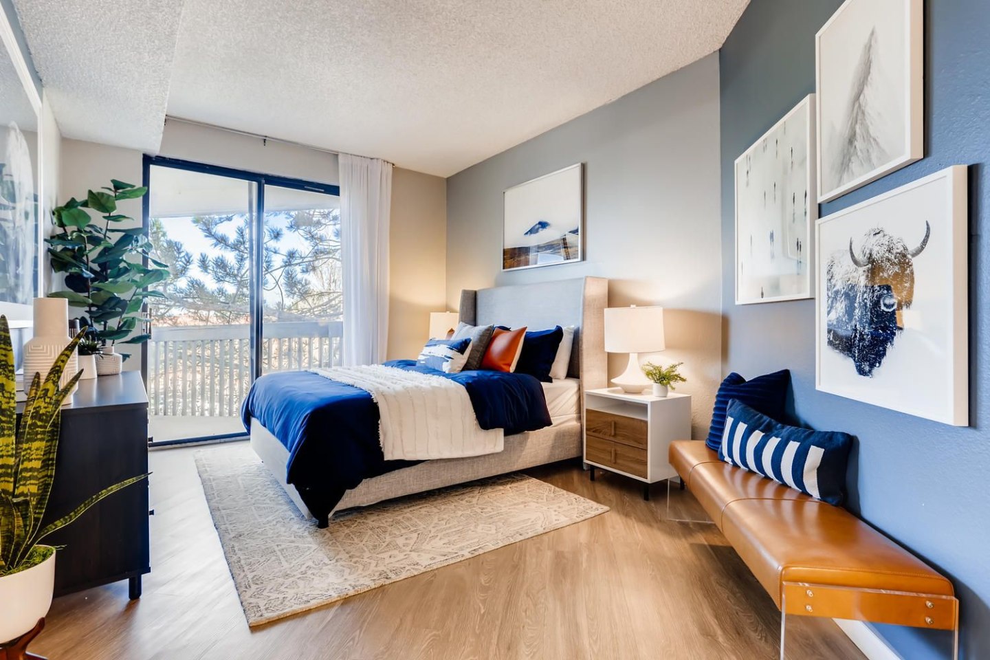 Alta Springs Image 6