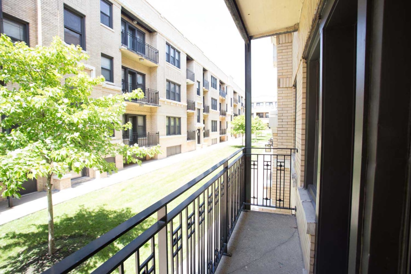Maple Court Image 19