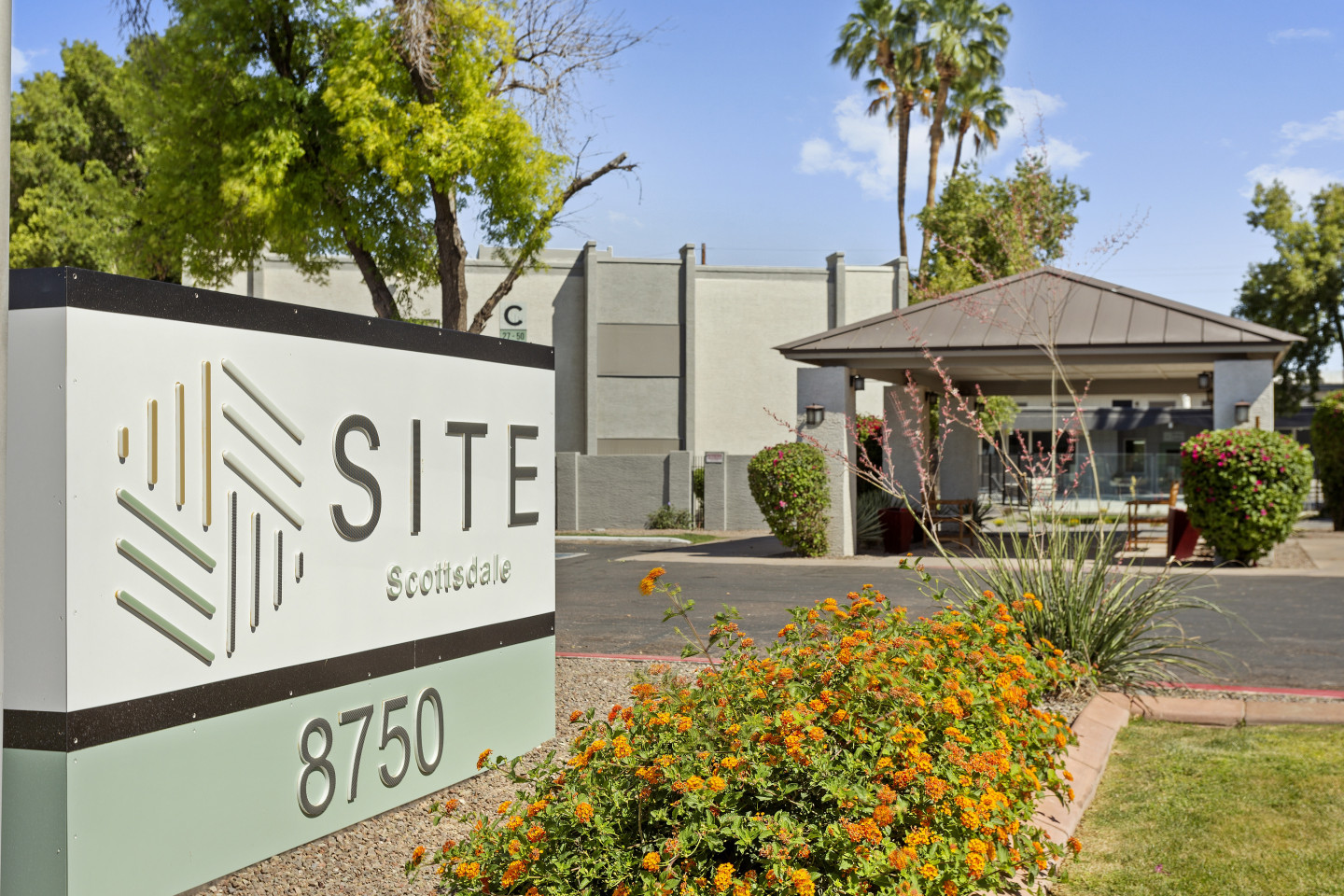 SITE Scottsdale Image 1